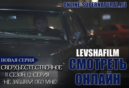 11 сезон 12 серия в озвучке LevshaFilm
